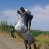 user.lazhar