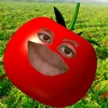 v.wlvwl