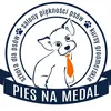 piesnamedal_psifryzjer