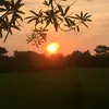 nguyduong25121989