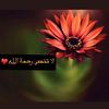 ab_adeel2