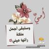 noha.eliba