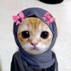 nour91010000