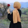ms_msl