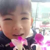 huangliang20
