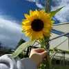 itsnotme2.22