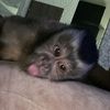 iam.so0f