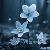 sushmeeta194