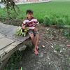 akiplontang2