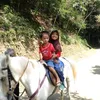 liaayundairly1
