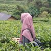 annisa_9520