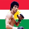 bruce_lee_kurdish