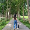 peamai_p