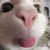 khairi_1273