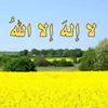 jegr_mustafa0