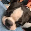 12345578el
