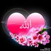 amadouba244