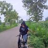 fu.bolet