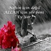 arslan_sevtap_5