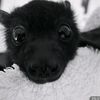 user1701791010