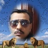 amr.elsamary