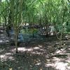 naturaleza909