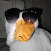 chipsinka163