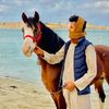 ibrahimhilalplay