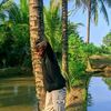 _akuadii87