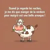 jacquiscristelle