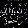 sagaesam25