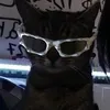 sxz.cyber