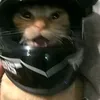 n11mt11
