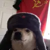 doguinho_comunista1945