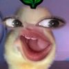 xcnshnta