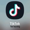 tik_tok_taikucing
