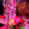 lakshmanpredeep