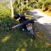 manhquang_1985