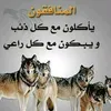 33sal33