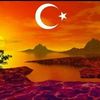 mustafatosun334