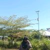 aini69042