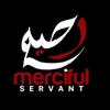 mercifulservant34