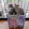 reciclarconmisgatos