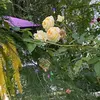 user724716740