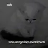 sauinha