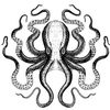black_octopus_shop