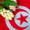 najoua367