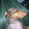phuongiu_3225