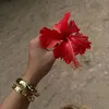 frankoceanlover2501