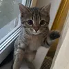 pavel.e
